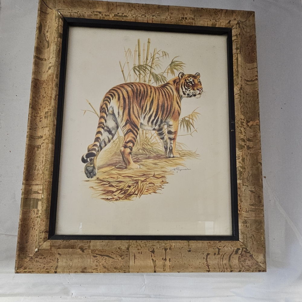 Framed Tiger Art Print